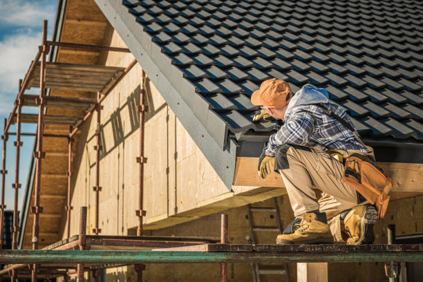 Best Asphalt Shingle Roofing  in Cologne, MN